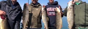 Lake Michigan fishing charter success!