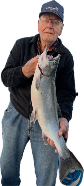 Coho Salmon (Silver Salmon) caught on Lake Michigan