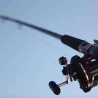 Black fishing pole